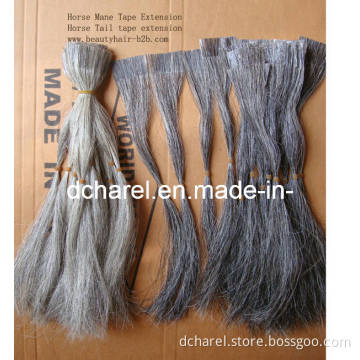 Horse Mane, Horse Mane Tape Extension
